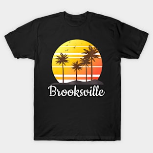 Brooksville Florida Vacation Family Matching Group T-Shirt